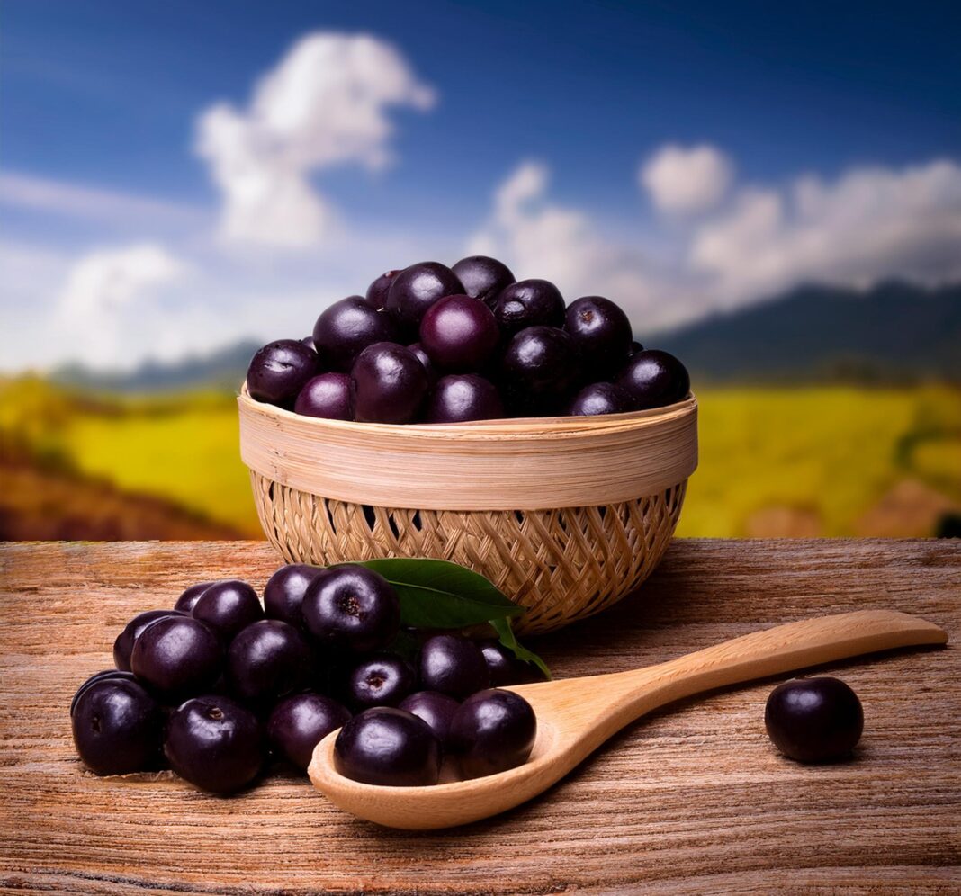 Acai Berries