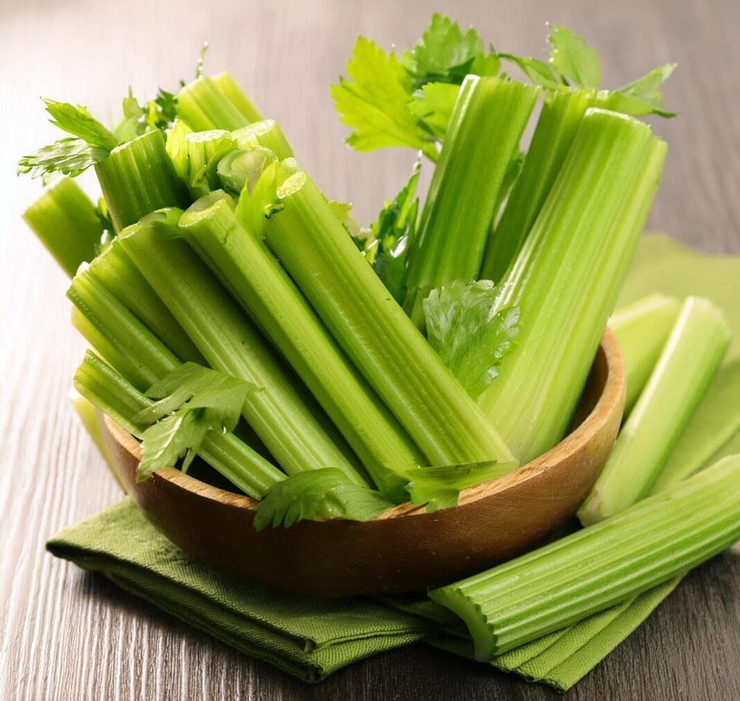 Celery Intake