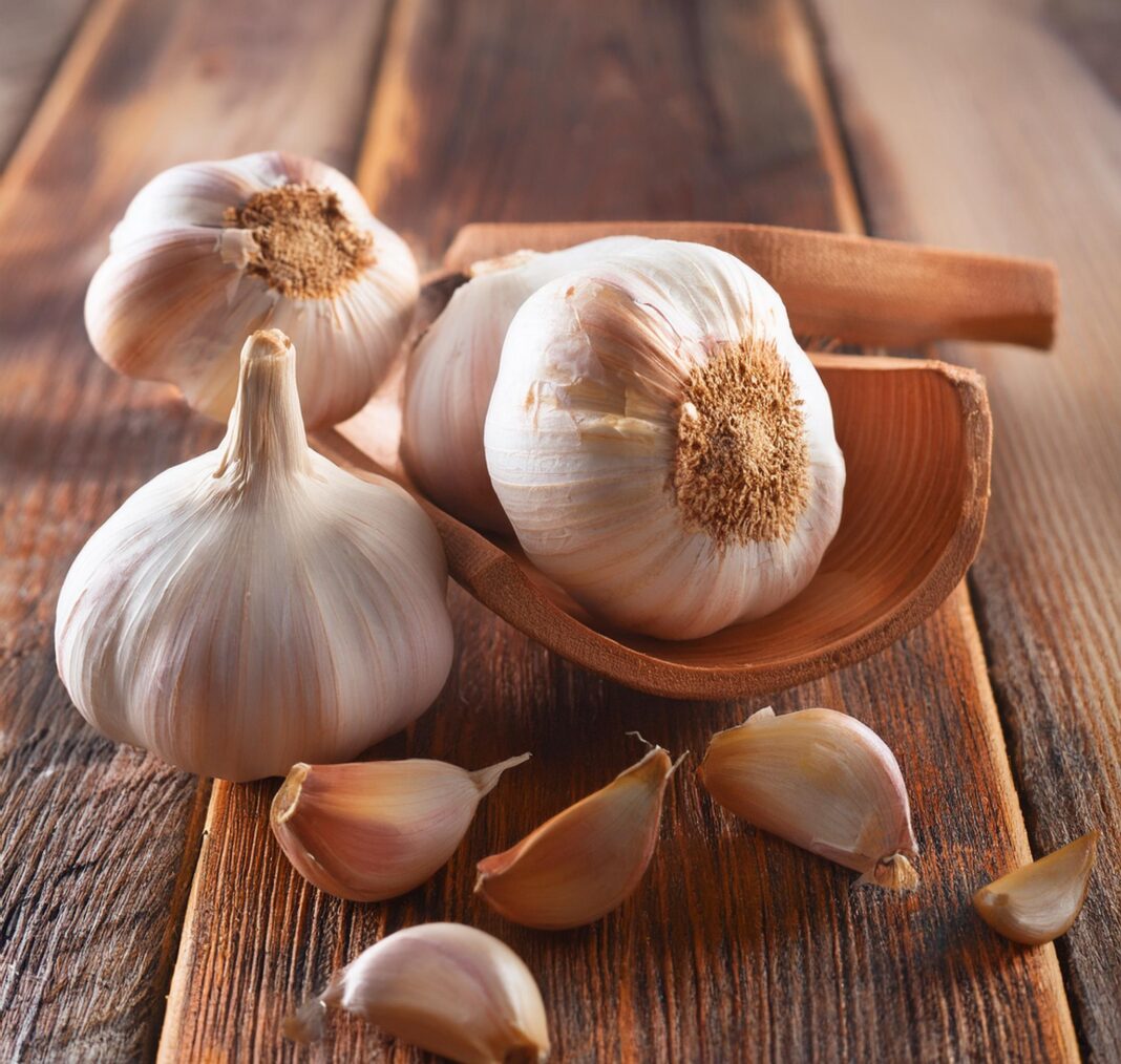 Garlic Intake